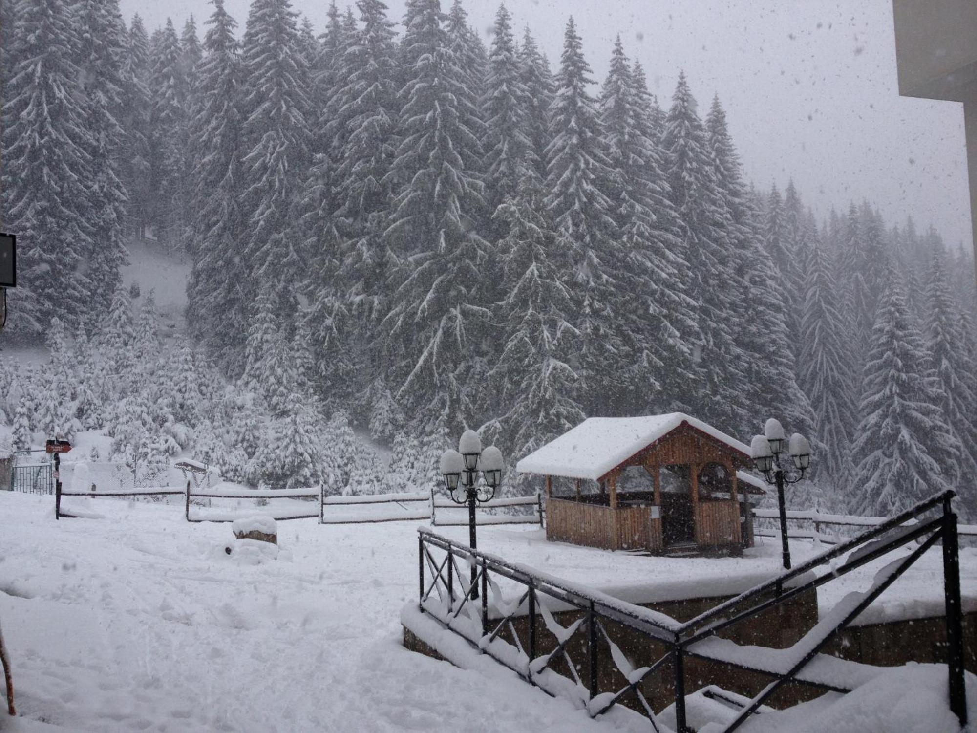 Ski Apartment In Castle Complex Pamporovo Buitenkant foto
