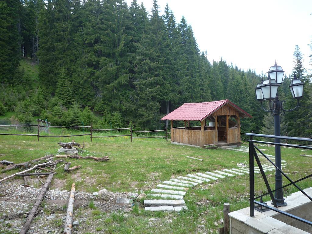 Ski Apartment In Castle Complex Pamporovo Kamer foto