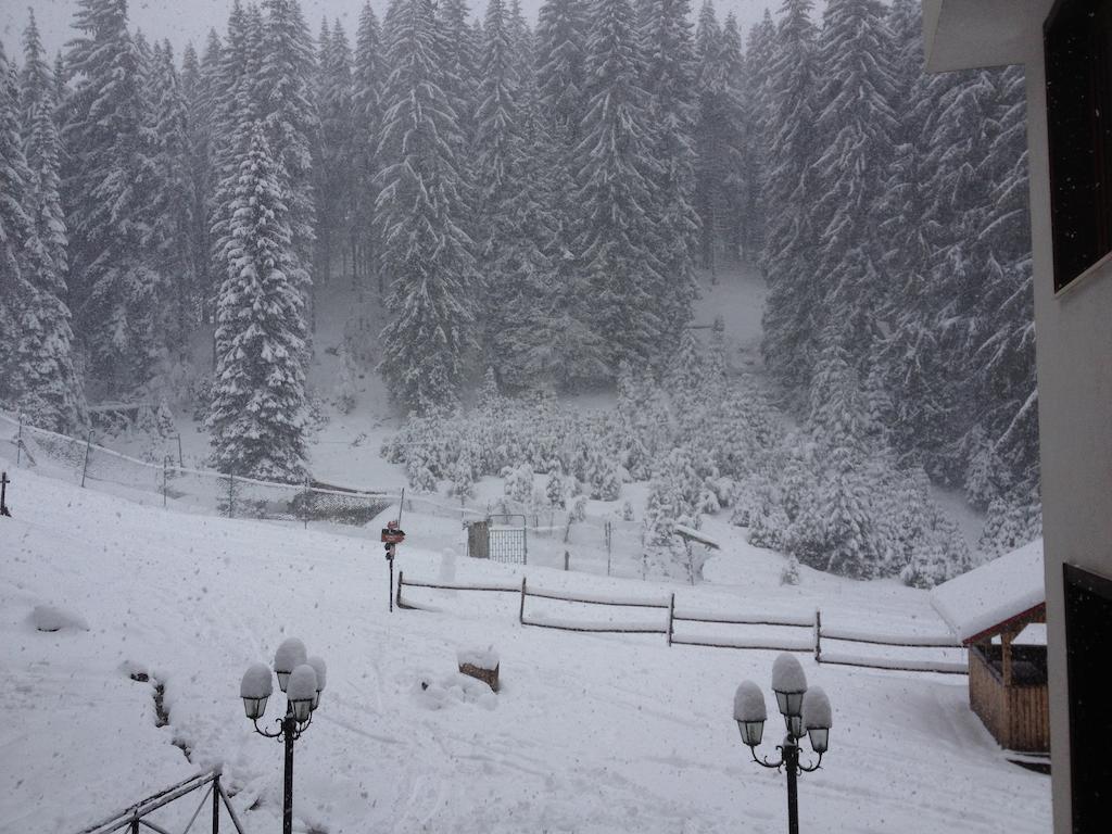 Ski Apartment In Castle Complex Pamporovo Kamer foto